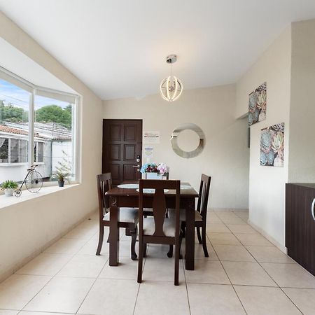 The Cozy Apartment San Salvador Eksteriør bilde